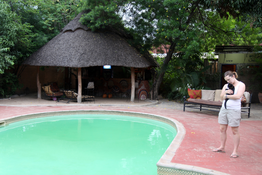 Zambia, Zimbabwe, & South Africa - Journal and Photos