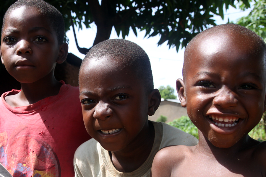 Zambia, Zimbabwe, & South Africa - Journal and Photos