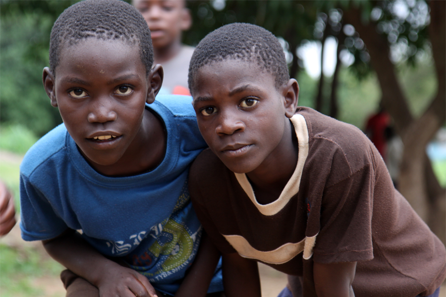 Zambia, Zimbabwe, & South Africa - Journal and Photos