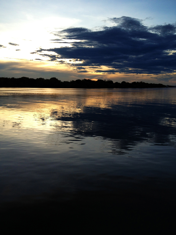 Zambia, Zimbabwe, & South Africa - Journal and Photos