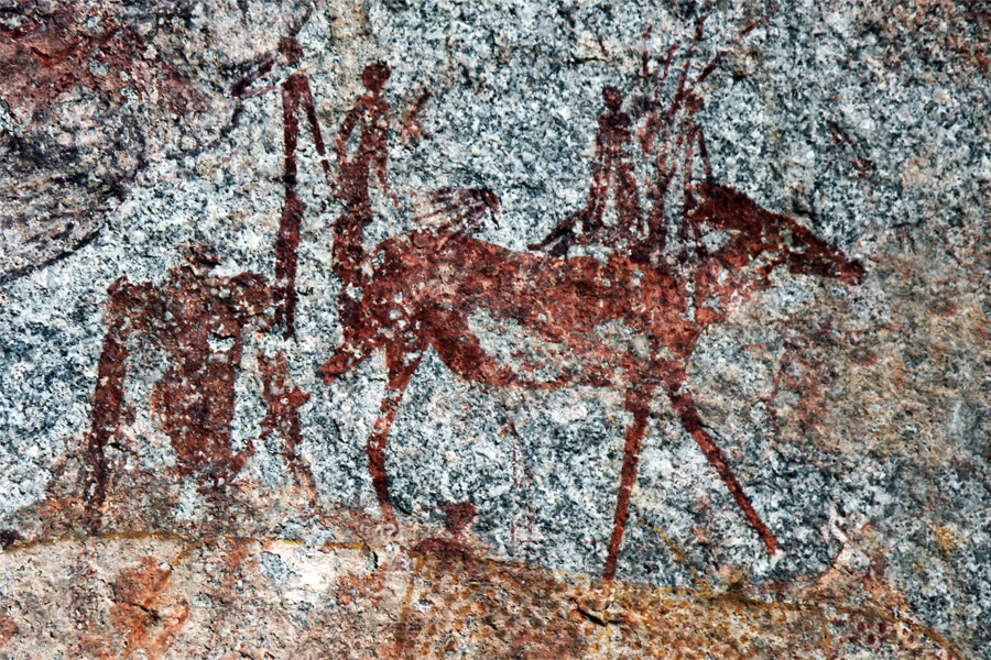 Zambia, Zimbabwe, & South Africa - Journal and Photos