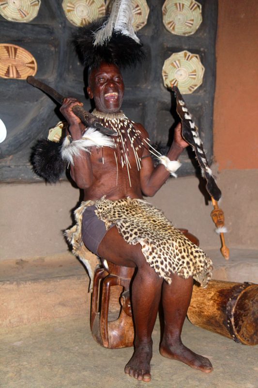 Zambia, Zimbabwe, & South Africa - Journal and Photos