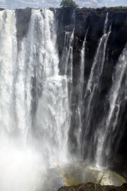 Zambia, Zimbabwe, & South Africa - Journal and Photos