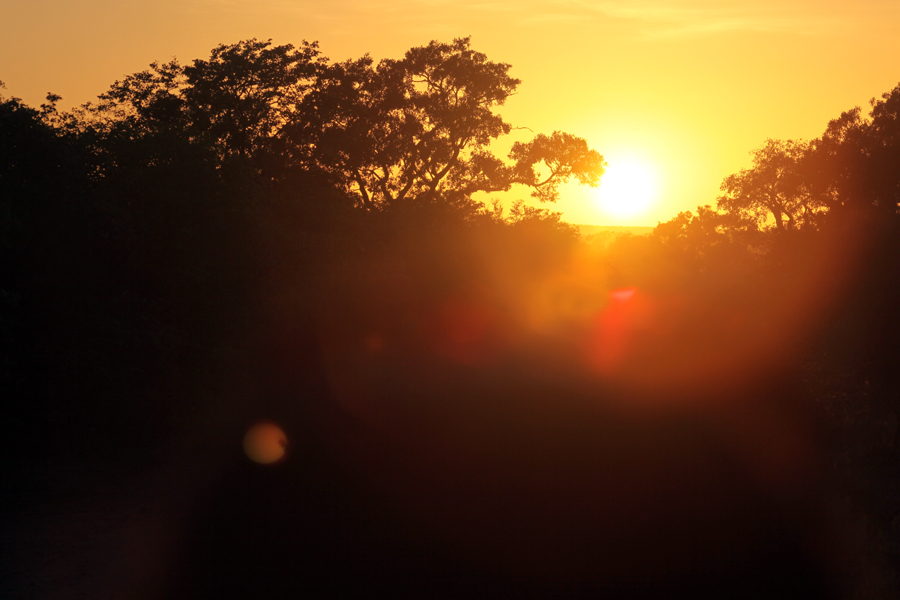 Zambia, Zimbabwe, & South Africa - Journal and Photos
