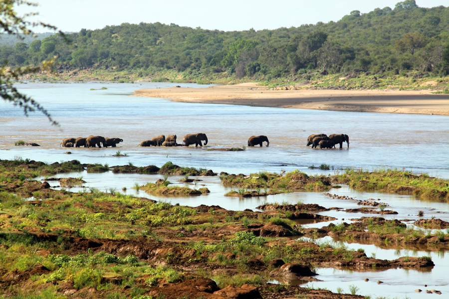 Zambia, Zimbabwe, & South Africa - Journal and Photos