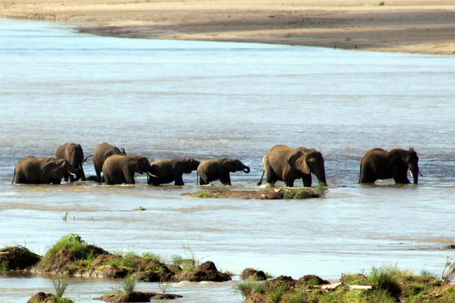 Zambia, Zimbabwe, & South Africa - Journal and Photos
