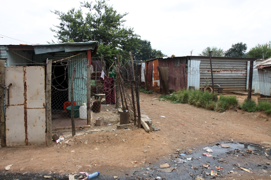 Zambia, Zimbabwe, & South Africa - Journal and Photos