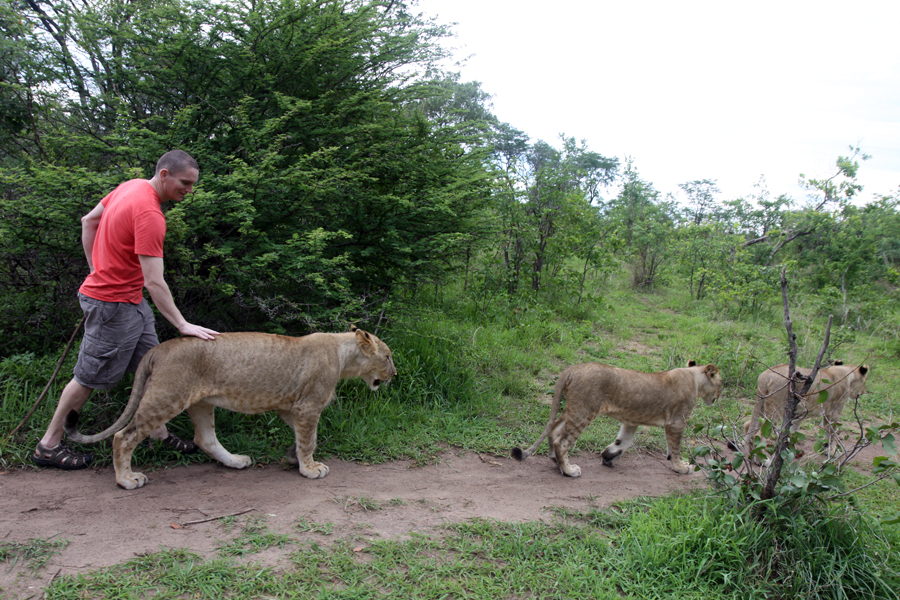 Zambia, Zimbabwe, & South Africa - Journal and Photos