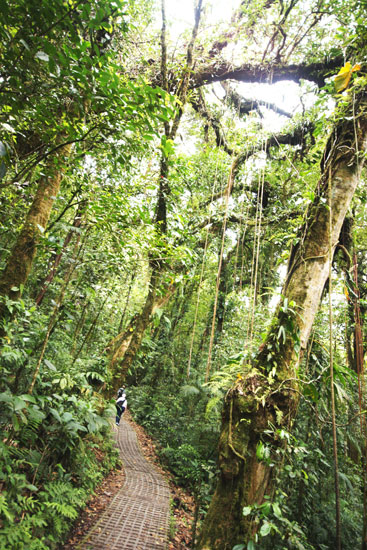 Costa Rica - Journal and Photos