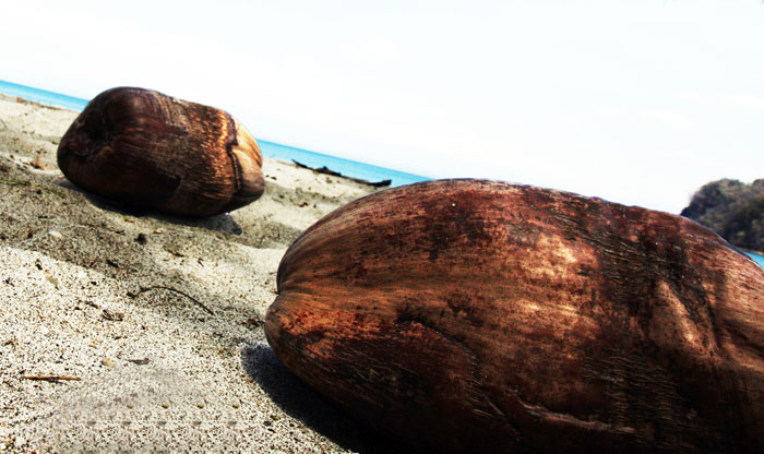 Costa Rica - Journal and Photos