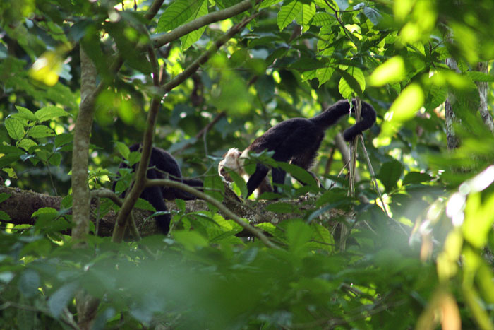 Costa Rica - Journal and Photos