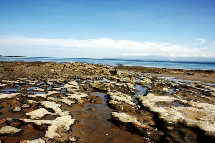 Costa Rica - Journal and Photos