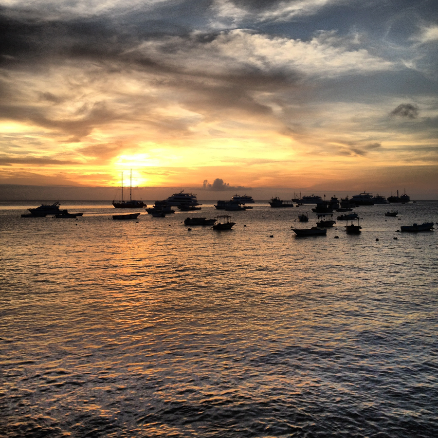 Galapagos Islands - Journal and Photos