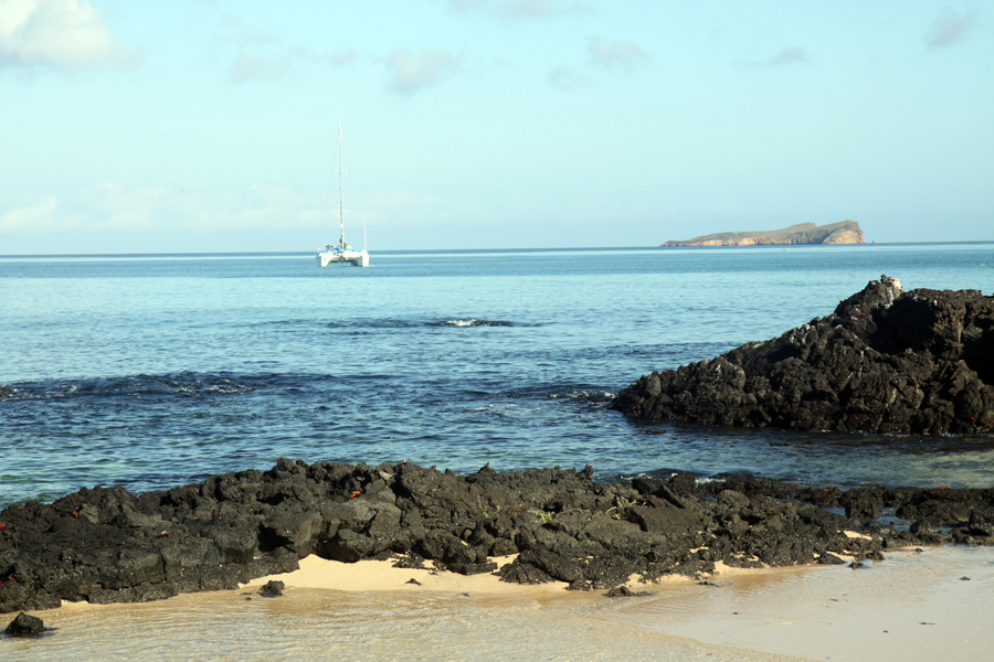 Galapagos Islands - Journal and Photos