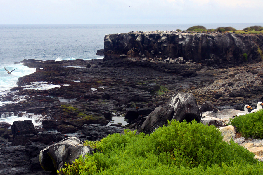 Galapagos Islands - Journal and Photos