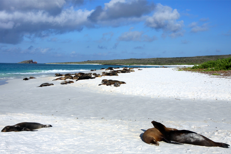 Galapagos Islands - Journal and Photos