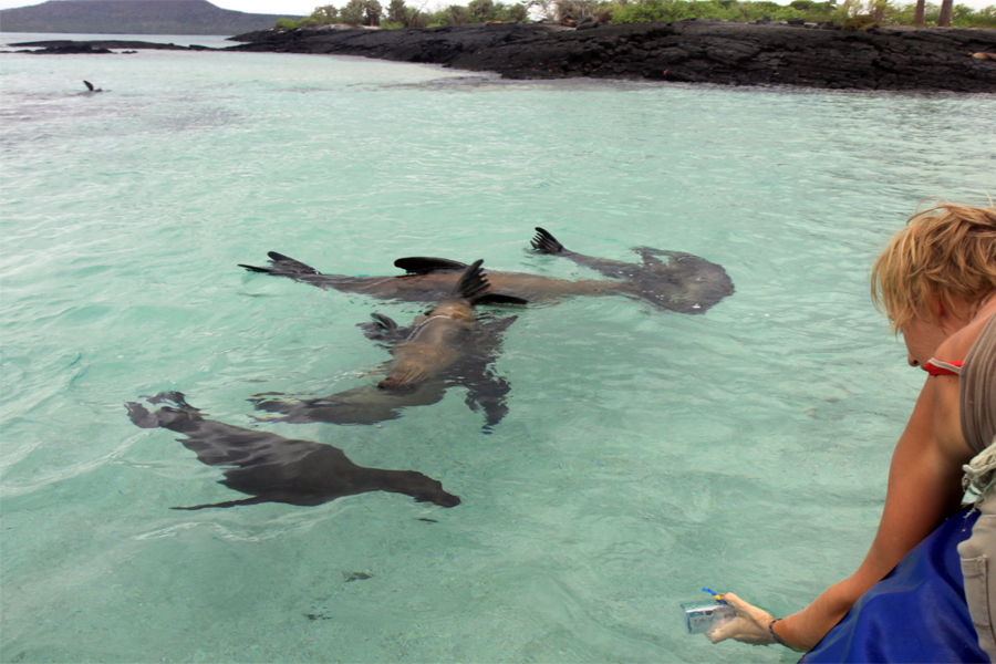 Galapagos Islands - Journal and Photos