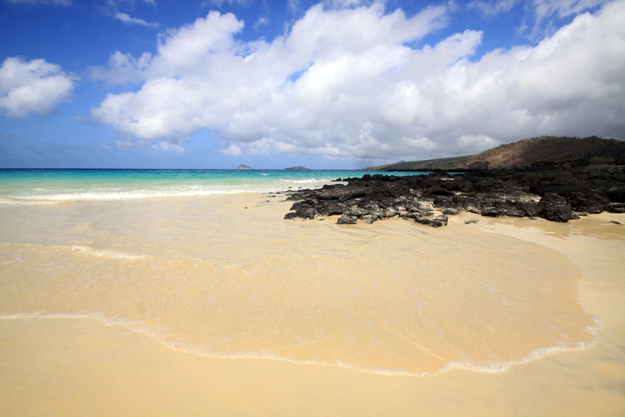 Galapagos Islands - Journal and Photos