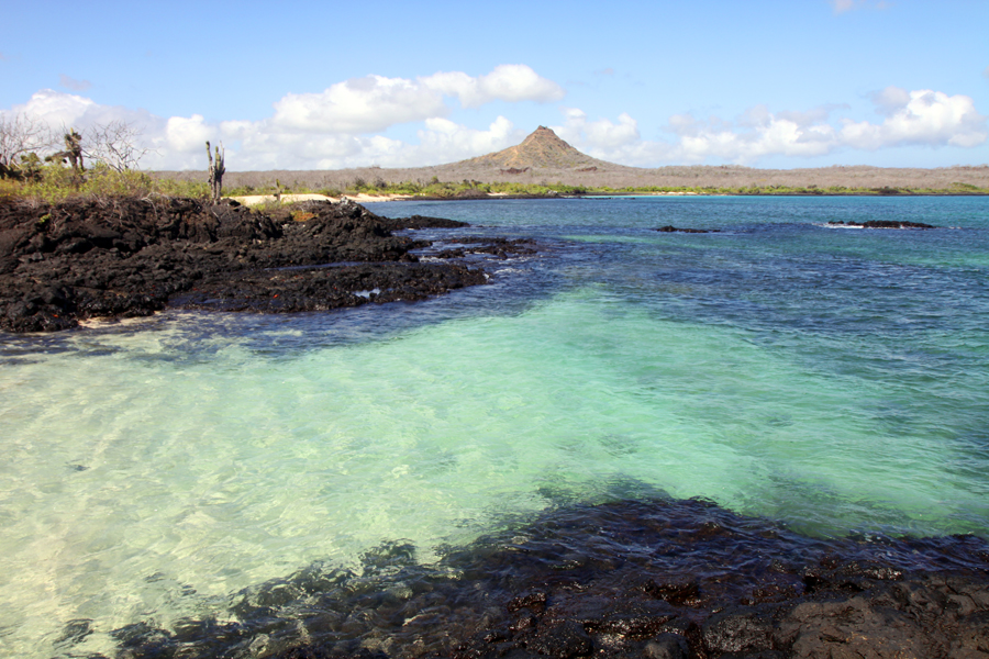Galapagos Islands - Journal and Photos