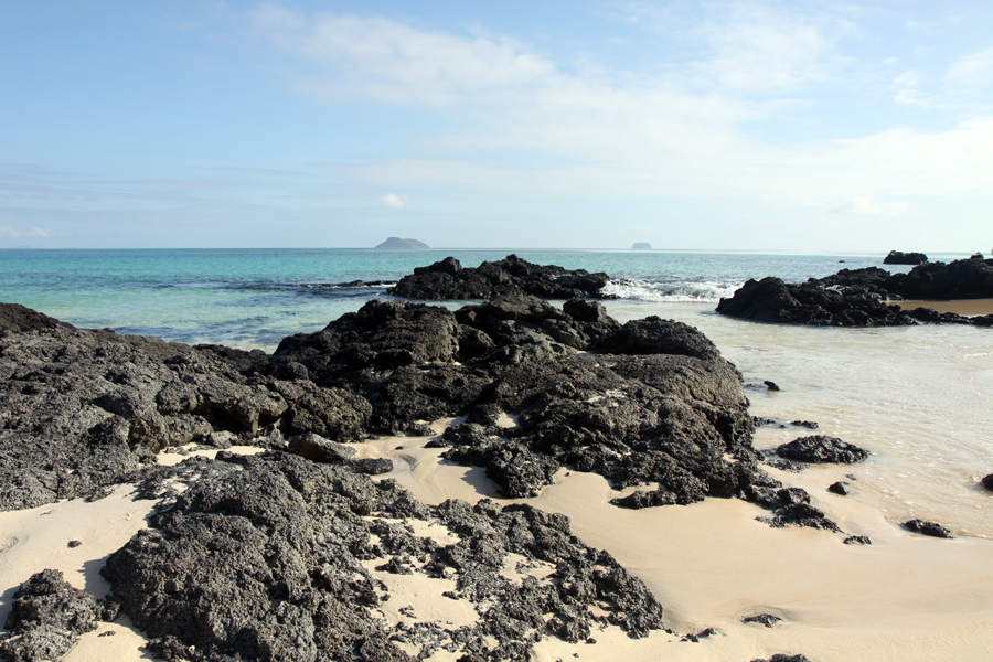 Galapagos Islands - Journal and Photos
