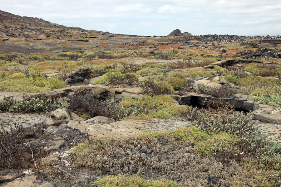 Galapagos Islands - Journal and Photos