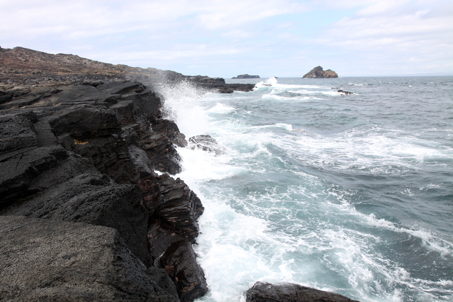 Galapagos Islands - Journal and Photos