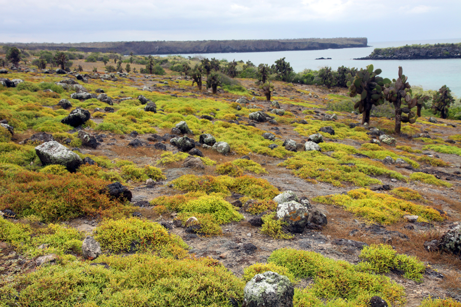 Galapagos Islands - Journal and Photos