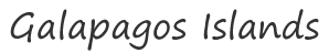 Home Page Link