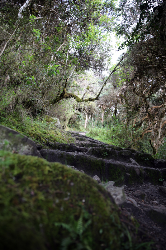 Peru - Journal and Photos