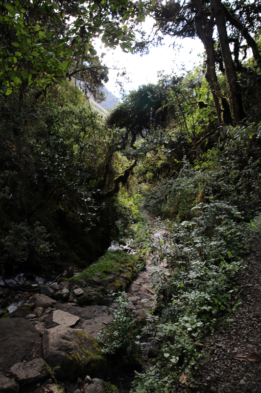 Peru - Journal and Photos