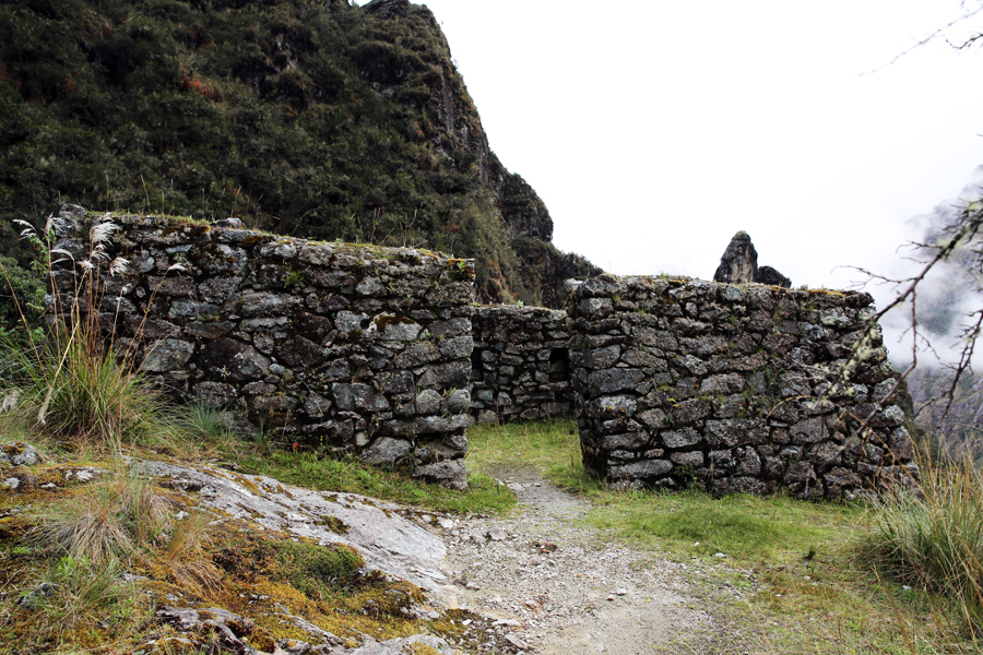 Peru - Journal and Photos