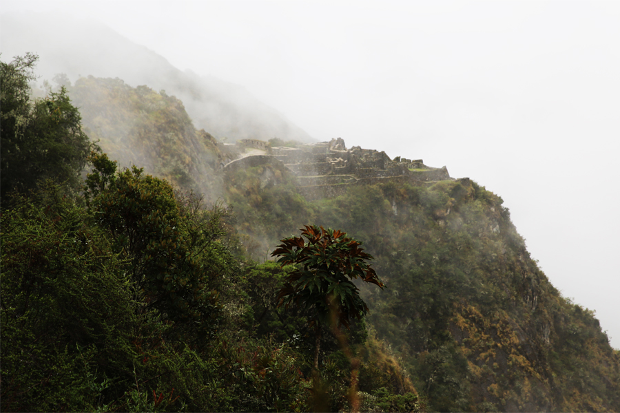 Peru - Journal and Photos