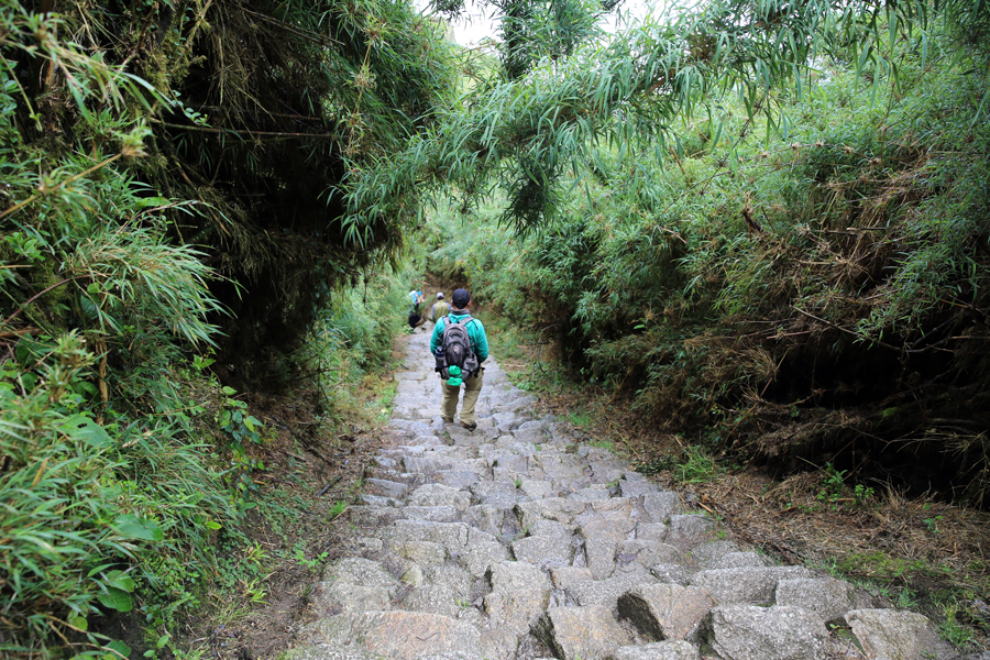 Peru - Journal and Photos