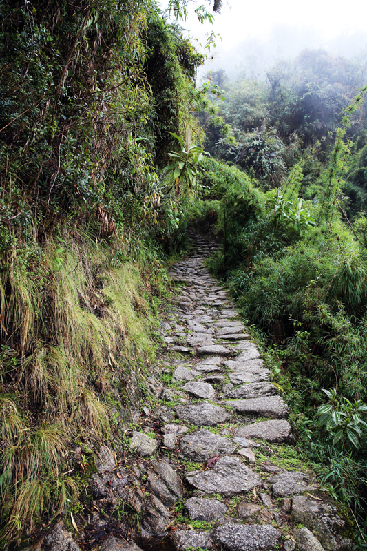 Peru - Journal and Photos