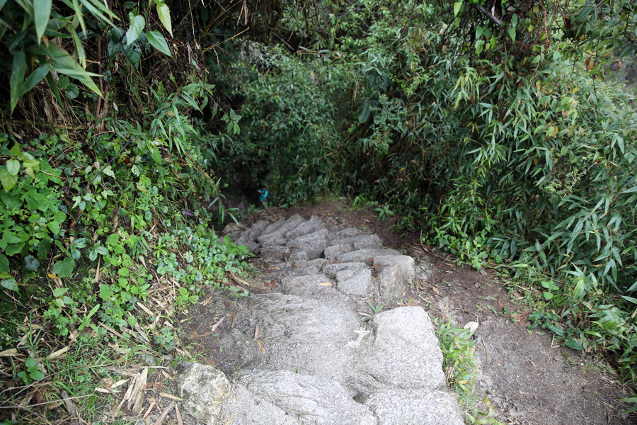 Peru - Journal and Photos