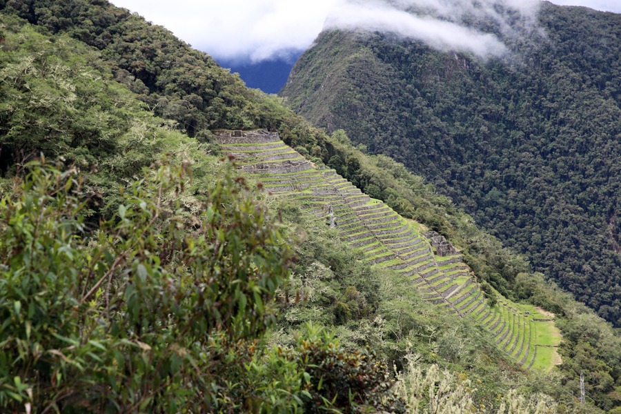 Peru - Journal and Photos