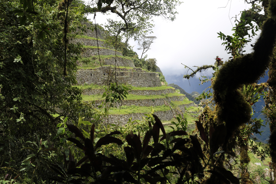 Peru - Journal and Photos