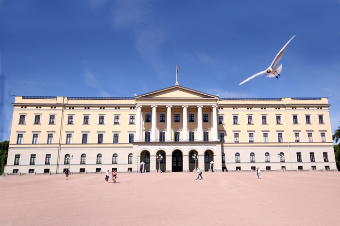 Stockholm, Oslo, Copenhagen - Journal and Photos